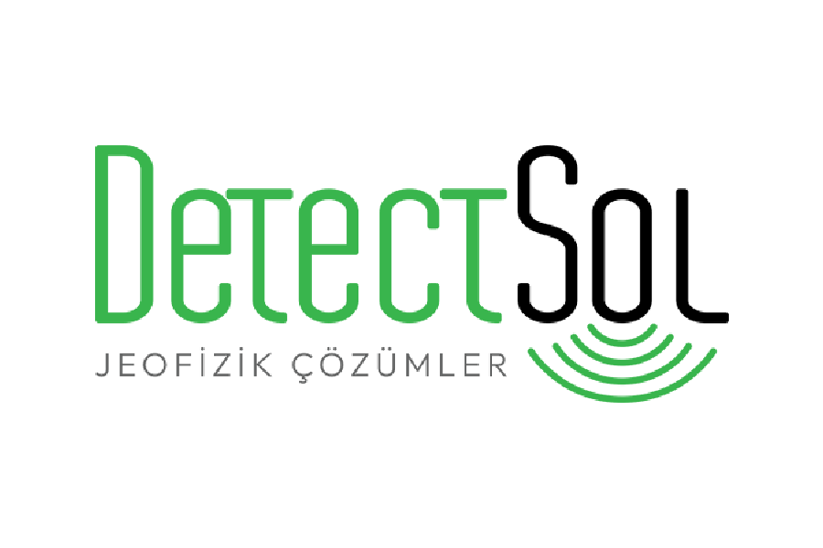 detectsollogo